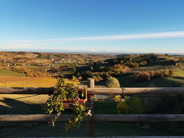 Cantina Visconti Agriturismo