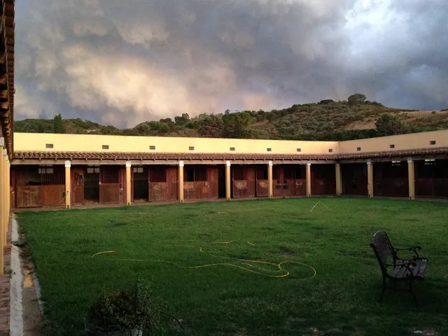 Cavalli di S'Arcaite