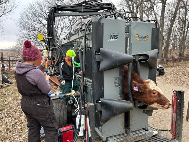 Lisbon Veterinary Service