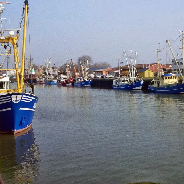 Ferienwohnung Haus Tertius