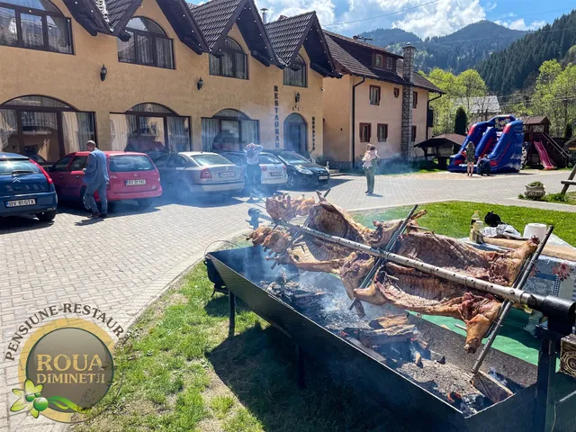 Pensiunea Roua Diminetii