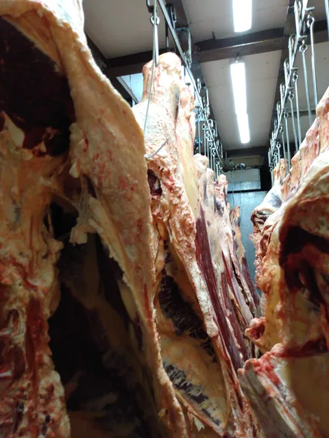 Kay's Meat Processing