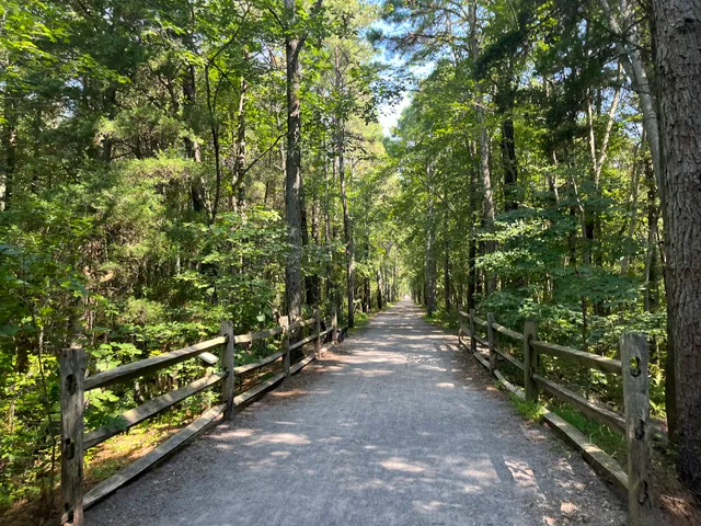Barnegat Branch Trail, South Trailhead Parking