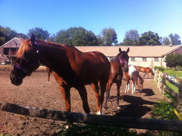 Chamounix Equestrian Center