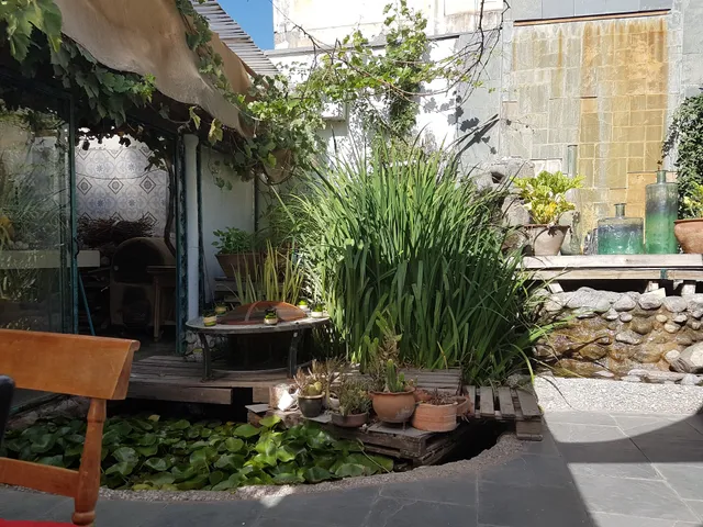 El Gallo Con Tacones