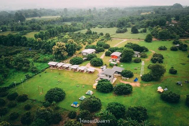 ไร่ ดอยเปียงดาว