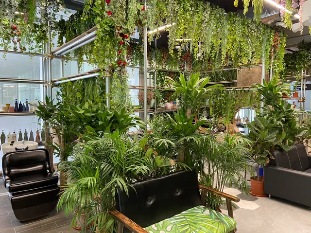 You Are My Sunshine | Korean Hair Salon