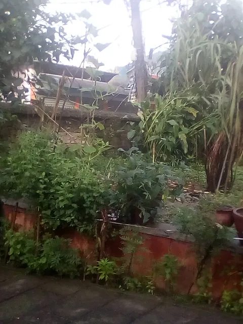 Namaste Taas Restaurant