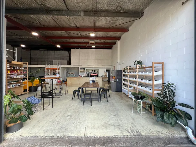 Dear Deer Coffee Roasting Bar West Coast