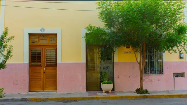 Casa Luz