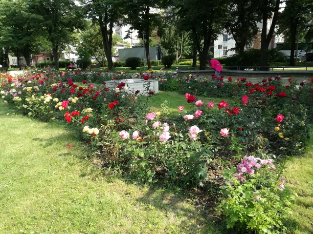 Park Rose Garden