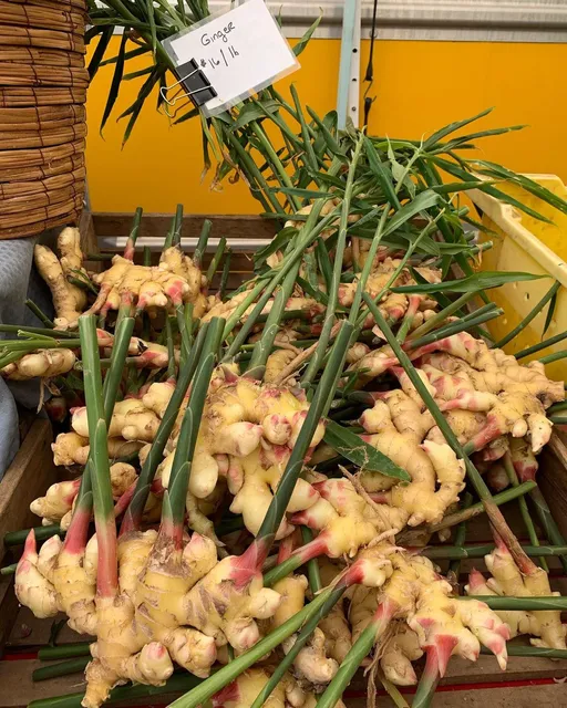 Chickadee Creek Farm