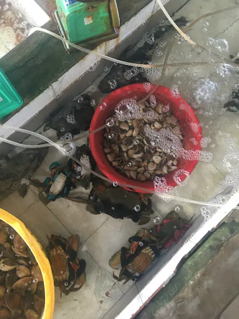 Nhà Hàng Hải Sản Đẳng Búp