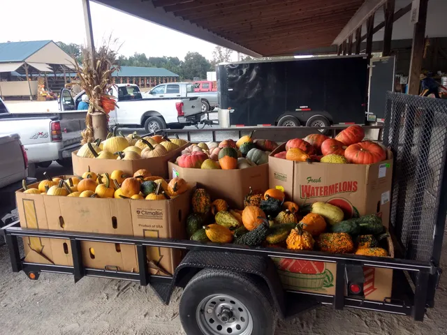 Plowboy Produce Auctions