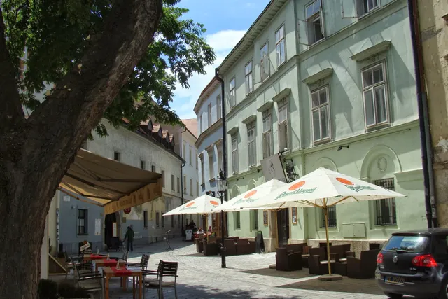 Wild Elephants Hostel