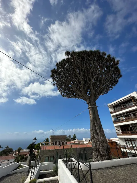 Plaza José Manuel Cabrera