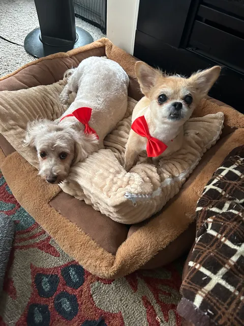 Aspen Dental - Laurel, MD