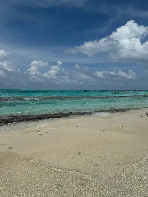 El acuario san andres