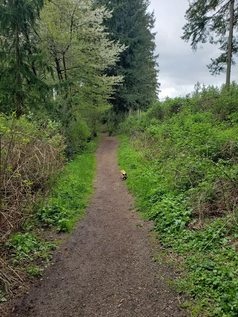 Viking Park, Off-leash Dog Park