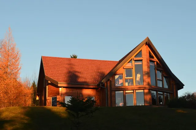 Nid de la Bergeronnette