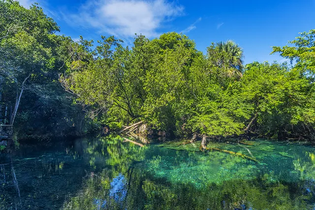 Indigenous Eyes Ecological Reserve