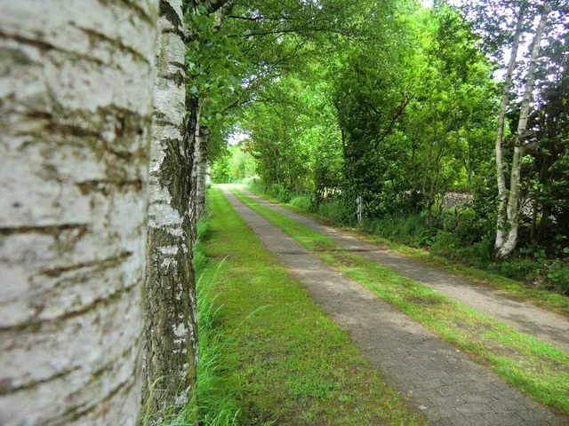 Ferienwohnungen Birkenallee