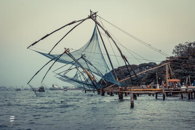 Michaela Homestay, Fort Kochi