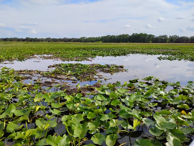 Boggy Creek Airboat Adventures