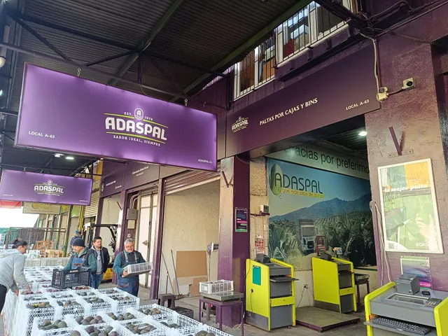 Adaspal - Paltas por Mayor