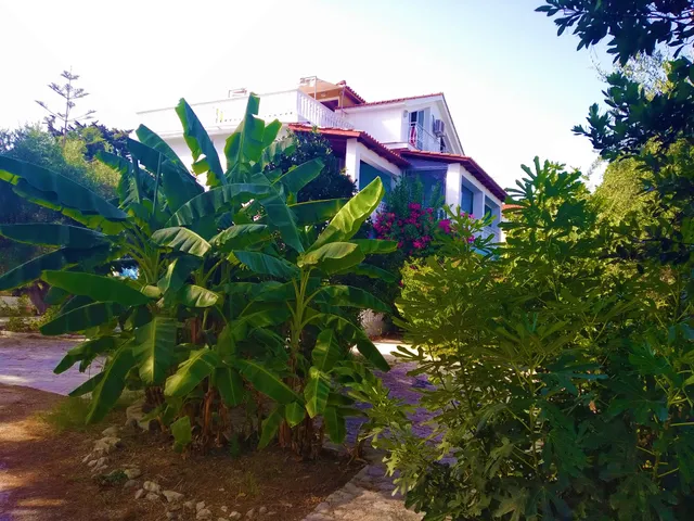 Blue Studios by Irene