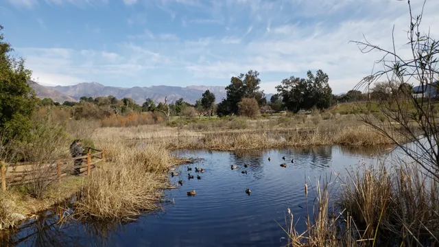 Ojai Meadows Preserve