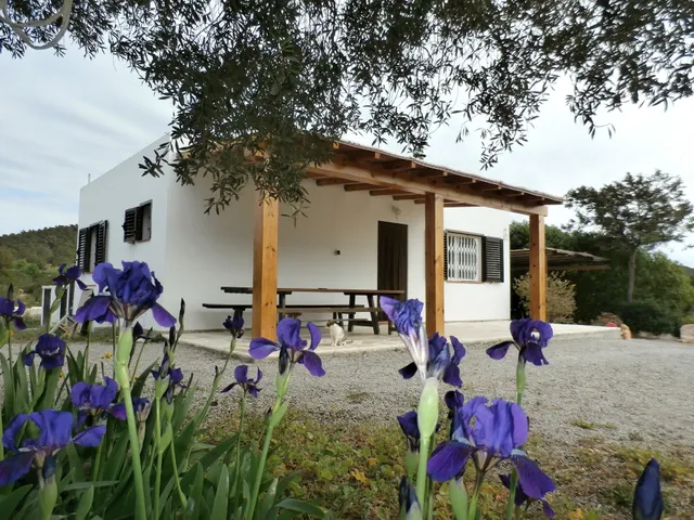 Sa Vinya Casa de Campo