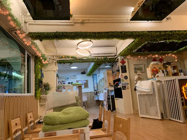 Cats Tea Room Tsuen Wan