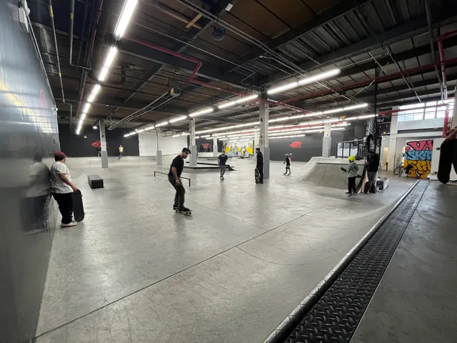 Vans Skate Space 198