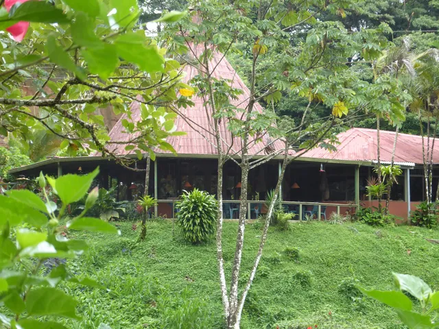 Lucky Bug Bed & Breakfast