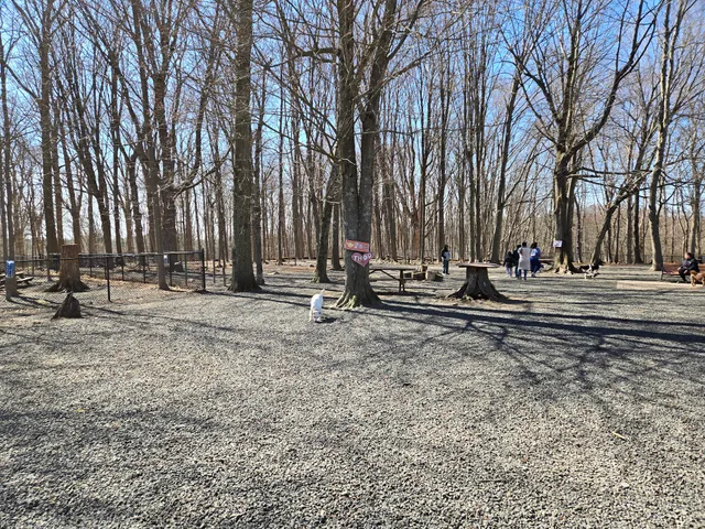 Hamden Dog Park