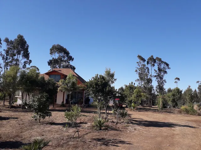 Parcelación El Gran Eucaliptus