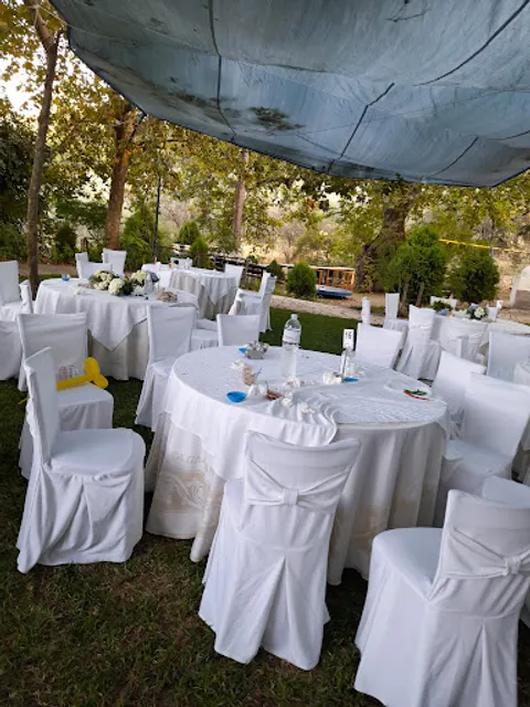 The Plane Trees Tavern