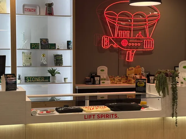 Higher Collective - Hamden