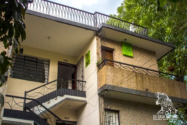 Selvática alojamiento Eco