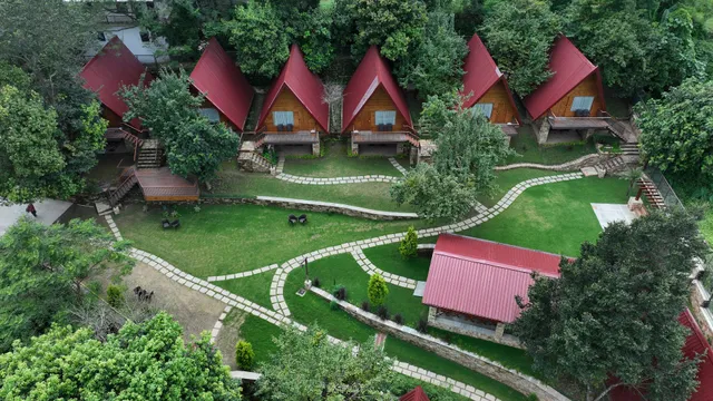 The Pear Orchard By Countryside