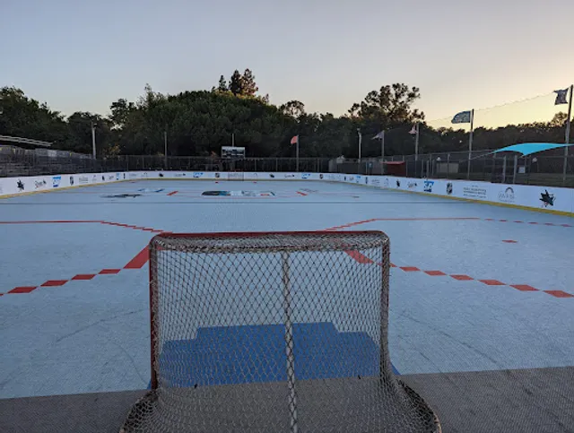 Roosevelt Park Roller Hockey Rink