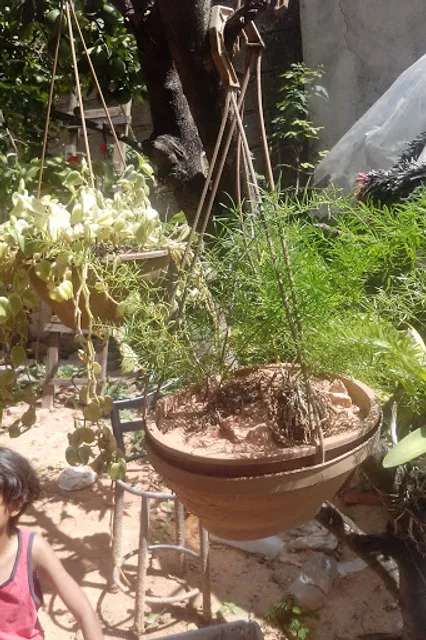 Açaí E Sorveteria Zamora