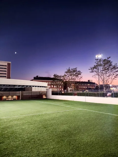 Brittingham Intramural Field