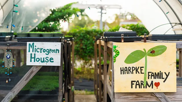 Harpke Family Farm, LLC