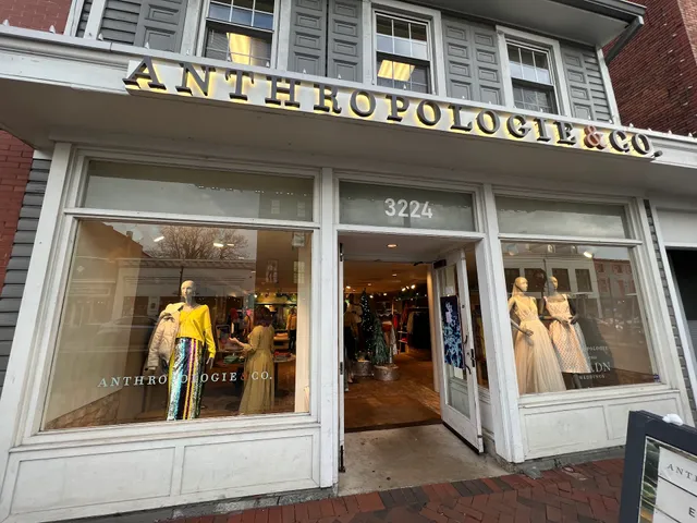 Anthropologie