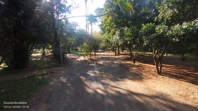 Parque Ibirapuera - Portão 5