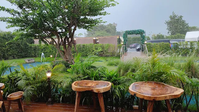 Bubble in the Forest Cafe