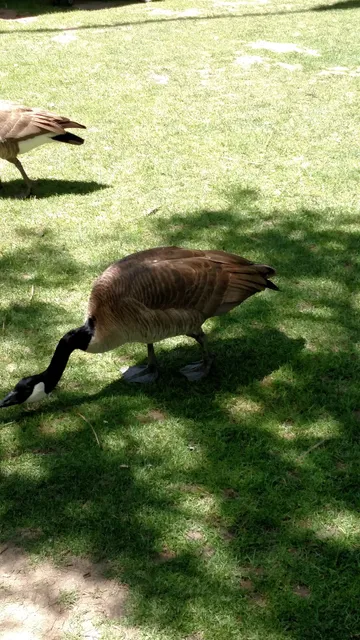 Denver Parks East District