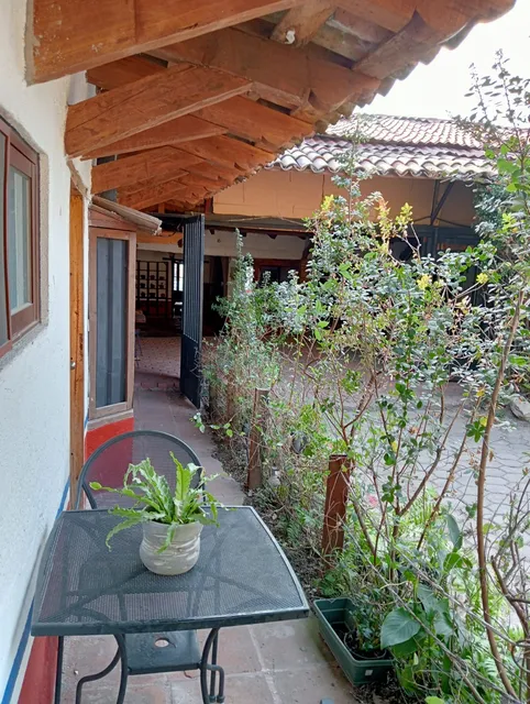 Hotel Petit Mesón (Pet Friendly)